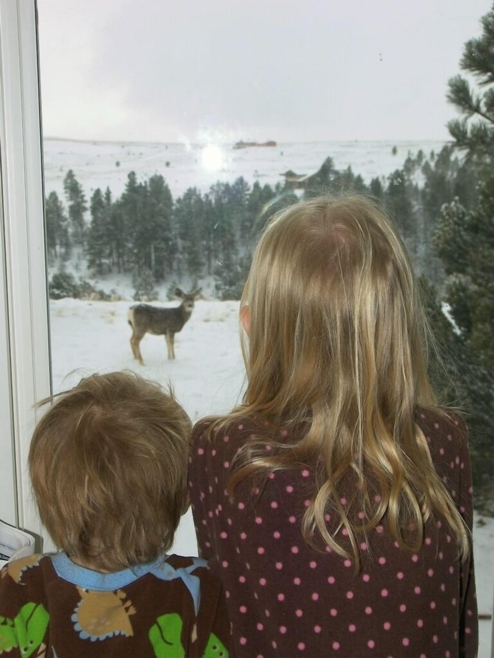 Our kids check out a mule deer while the mule deer checks them out.