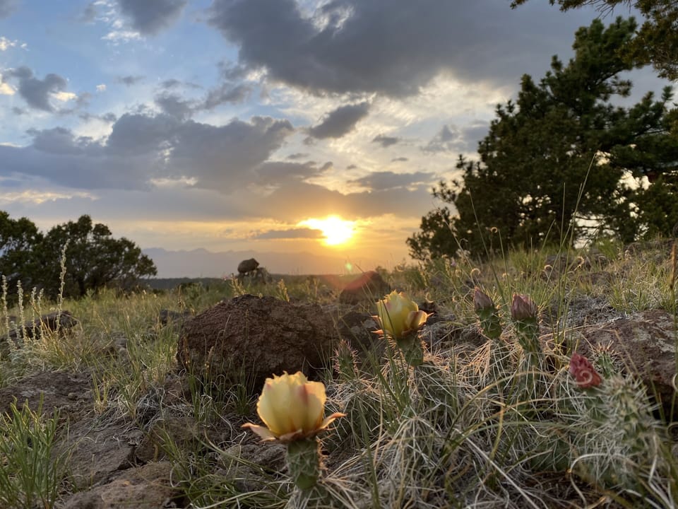 Evening sunset, picture taken by our son Joshua. 