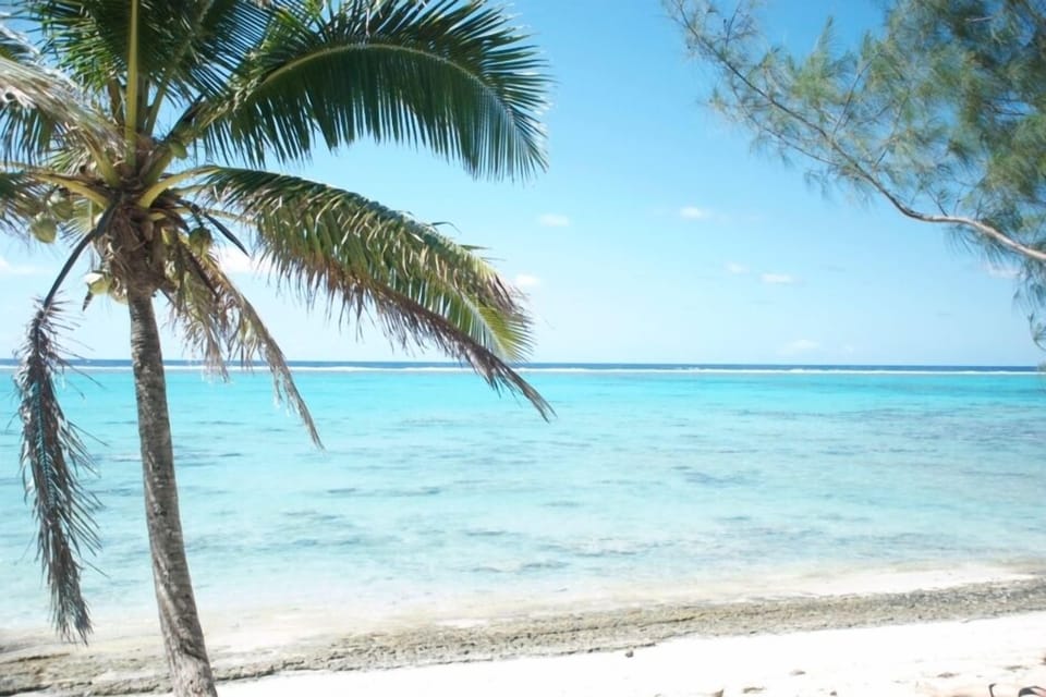 The beach across the road