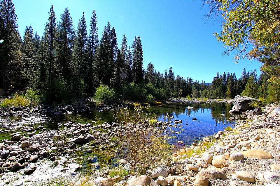 View of the Merced River, in the Spring and Summer it is really flowing.