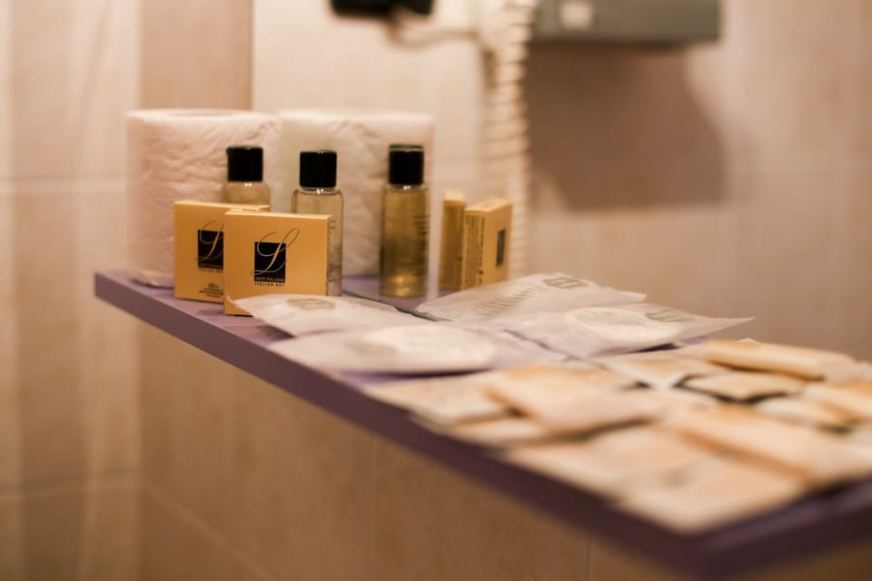 Shower, free toiletries, hair dryer, bidet