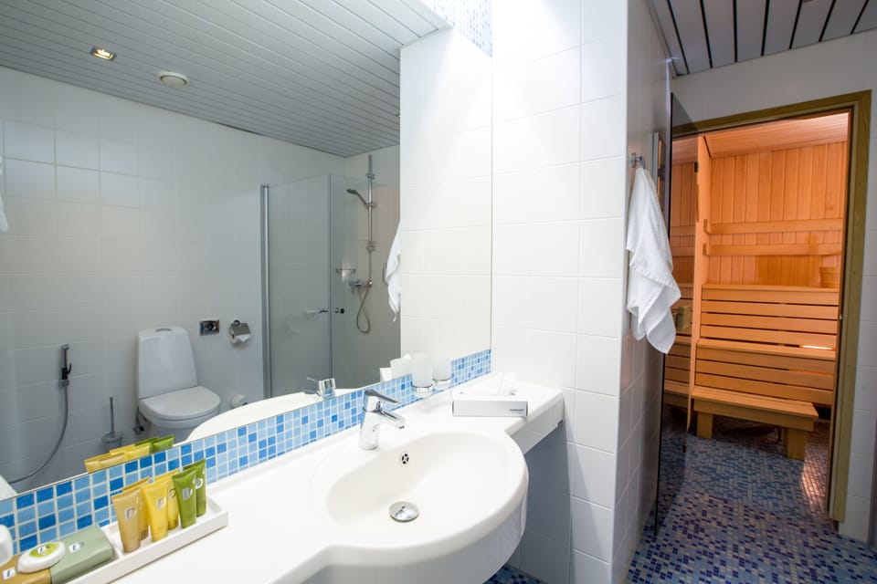 Suite | Bathroom | Free toiletries, hair dryer, bathrobes, towels