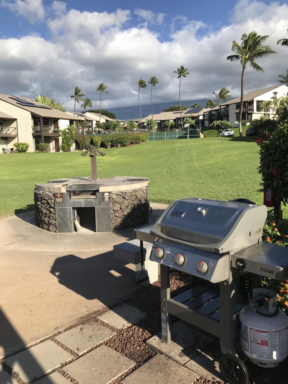 BBQs gas and charcoal