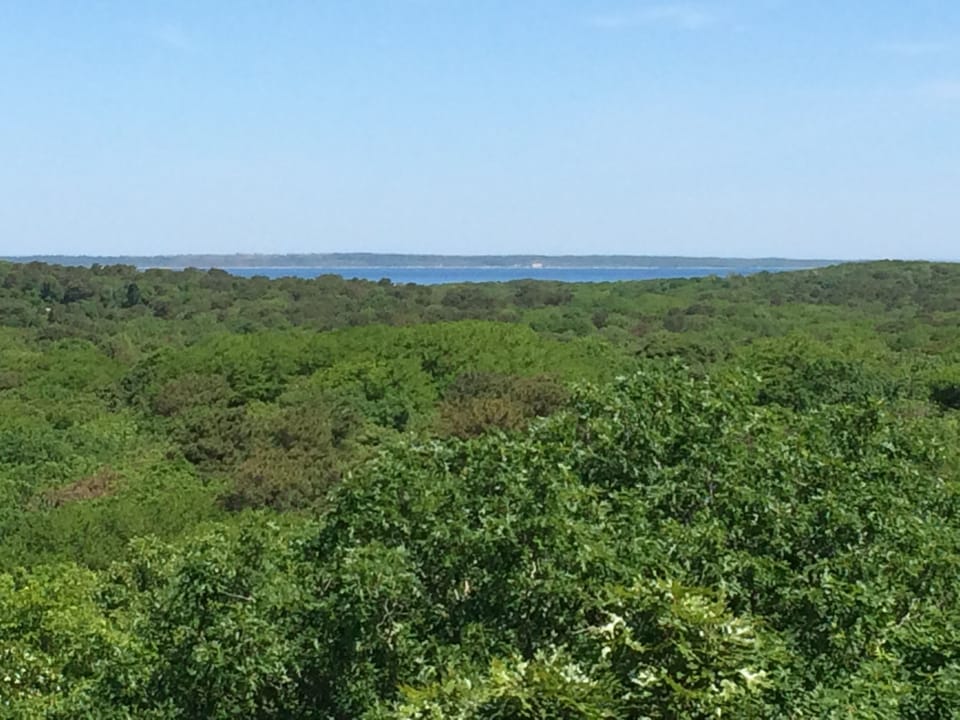 View from the deck