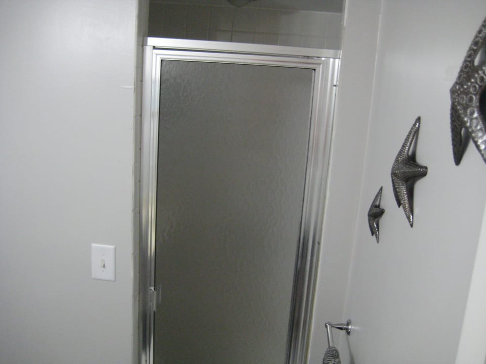 Guest Full Bath / With large stand-in Shower