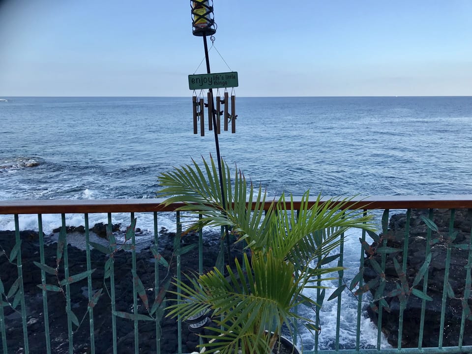 Clyde the turtle swims in and feeds off the lava here