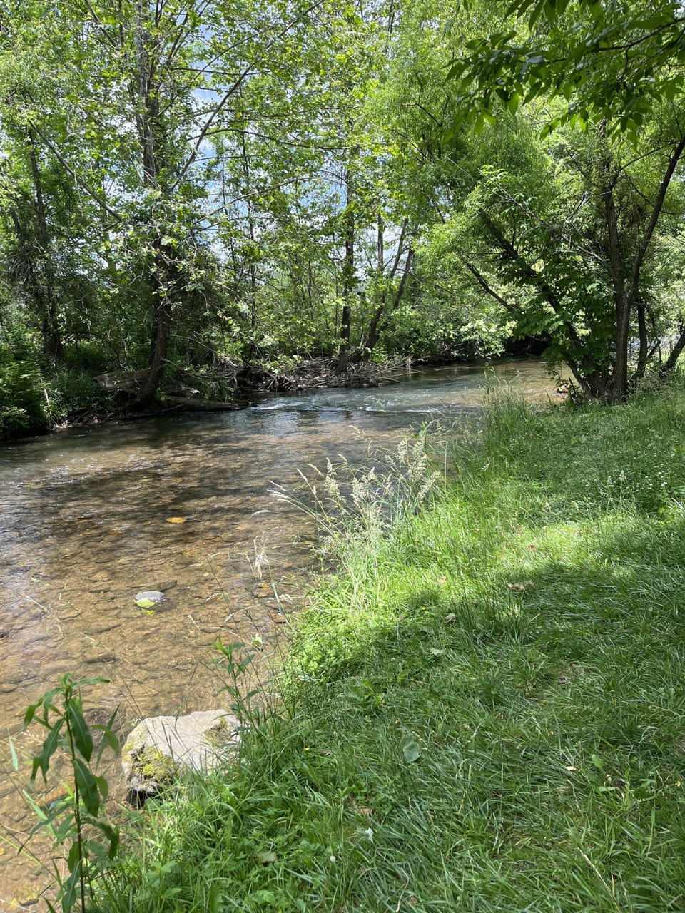 Another creek nearby