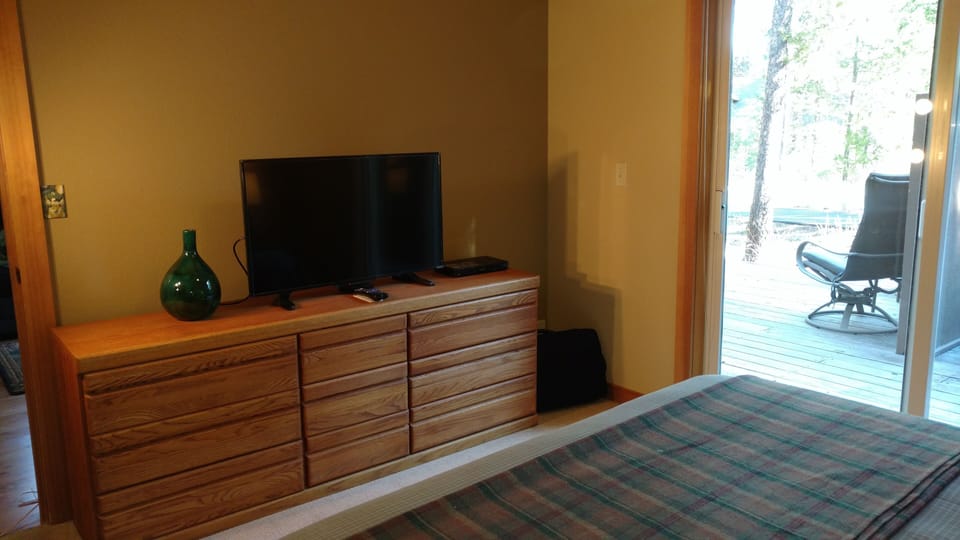 TV in downstairs bedroom