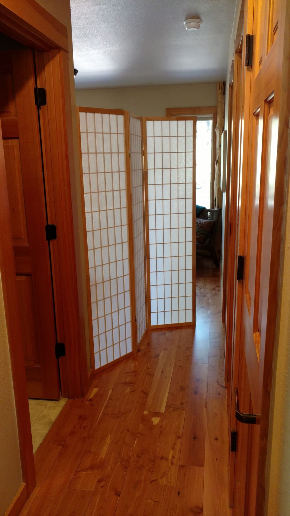 Privacy screen available to set up in the den.