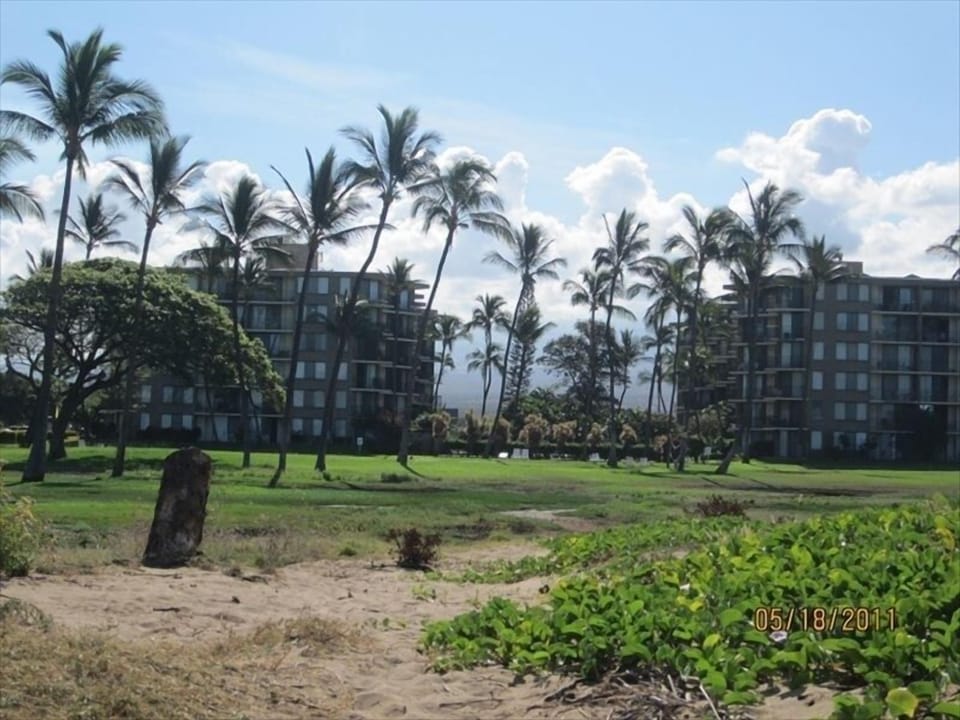 A short walk across Waipuilani Park takes you to the beach from the complex.