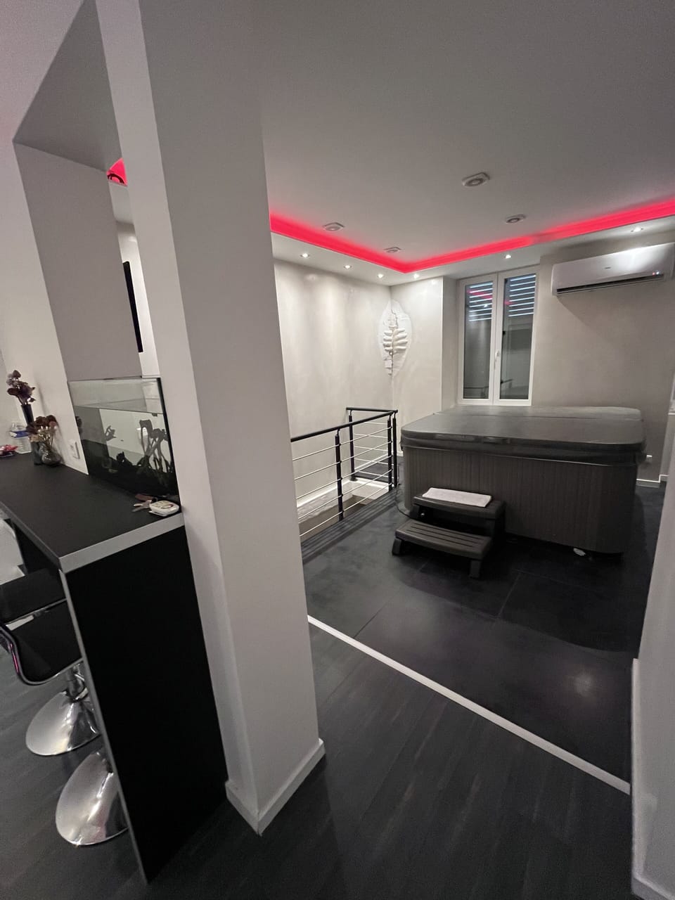 Fully privatized apartment with jacuzzi and steam shower Apartment in Colmar