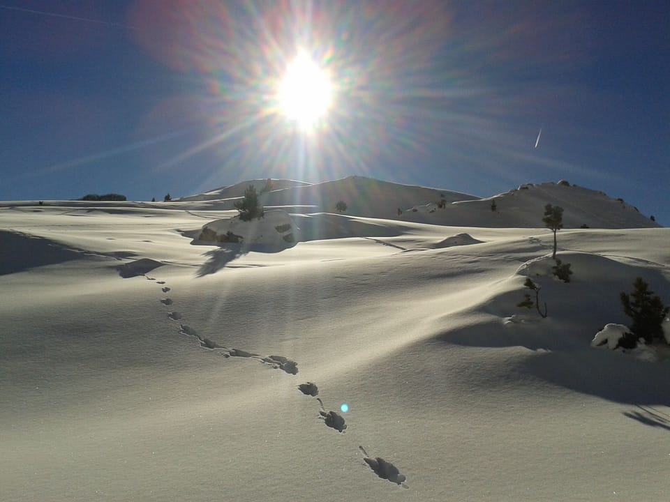 Snow and ski sports