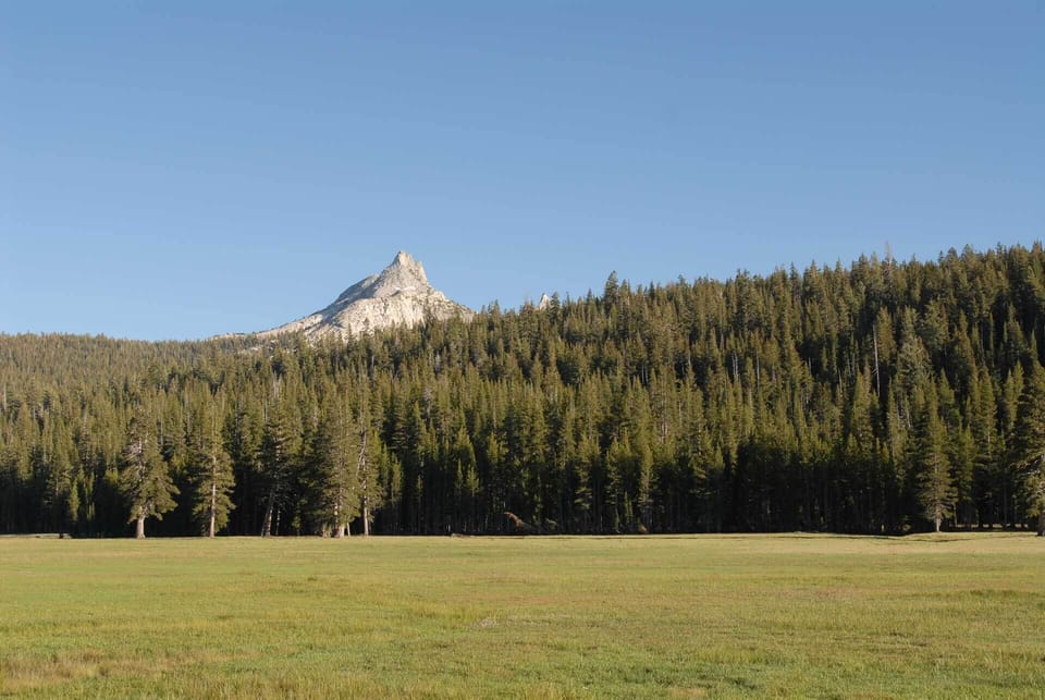 Cathedral Peak from Tuolumne Meadows