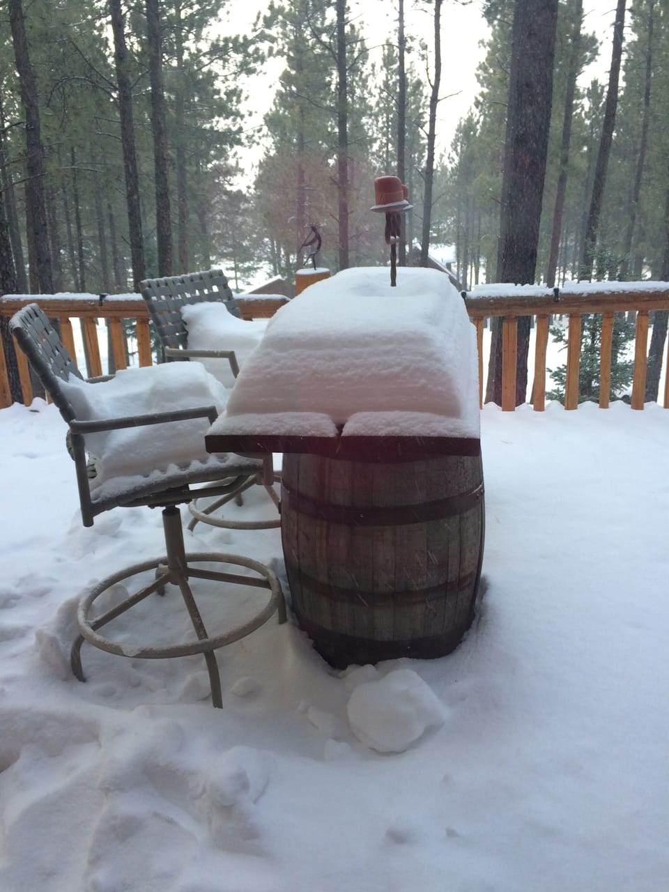 snow day thanksgiving 2014