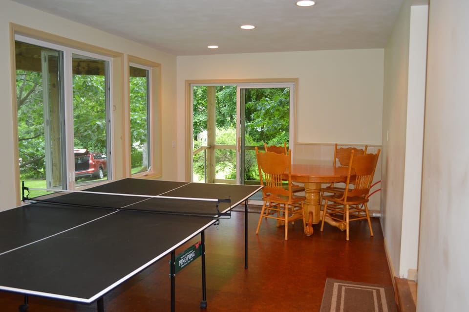 Game Room Lower level , Futon opens up to bed  