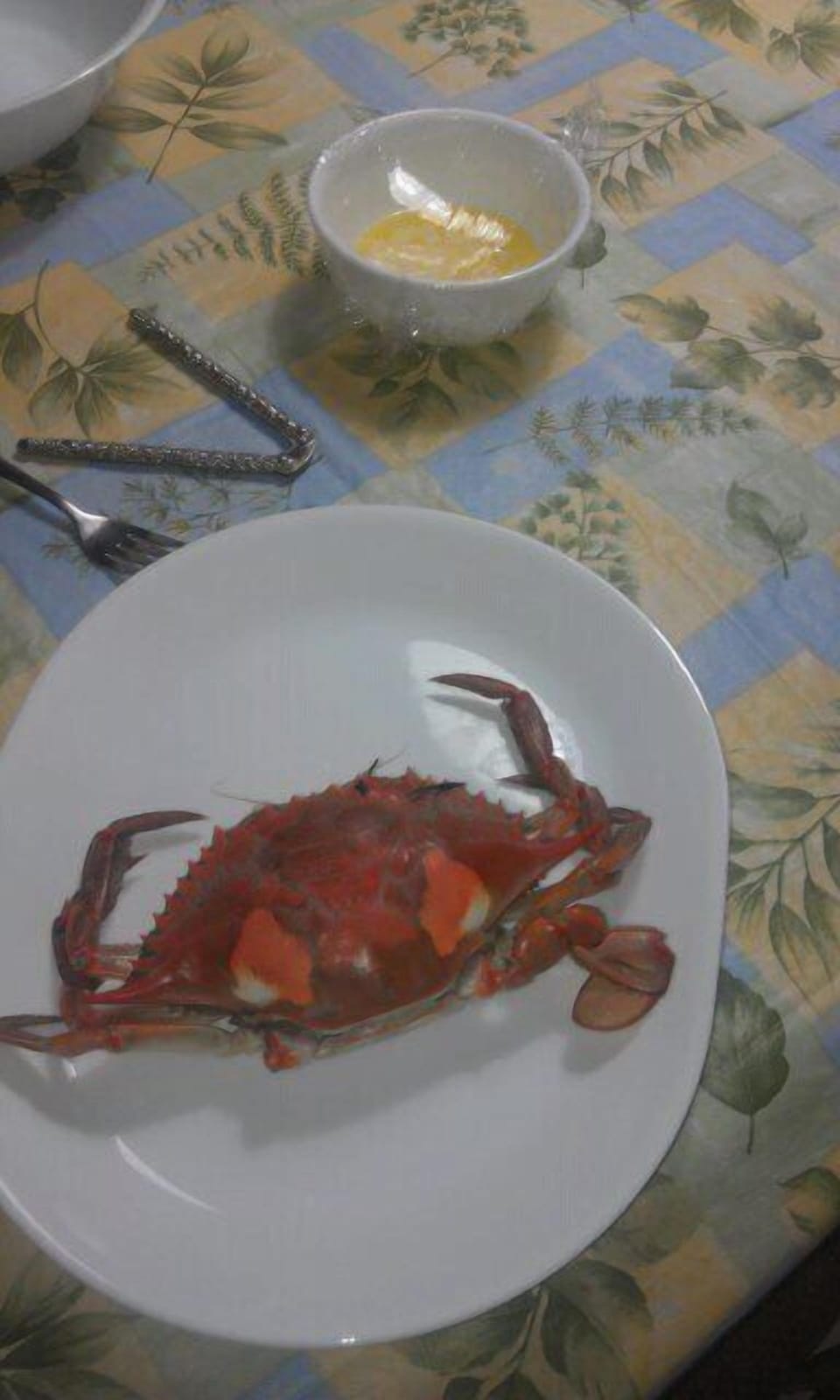 Today's Catch