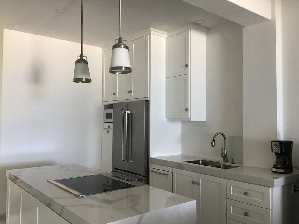 Kitchenaid fridge, stove and convection oven.