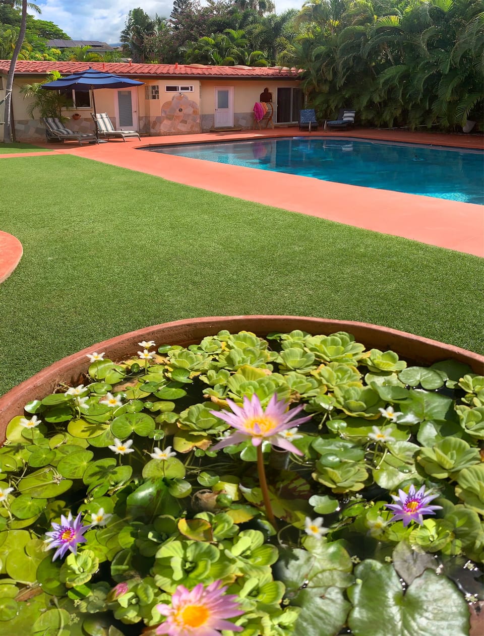 Water lilies at Villa Paola