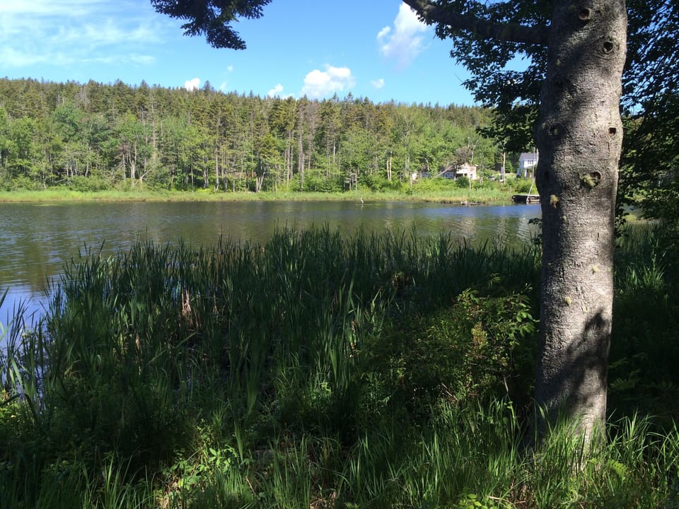 Lake Front