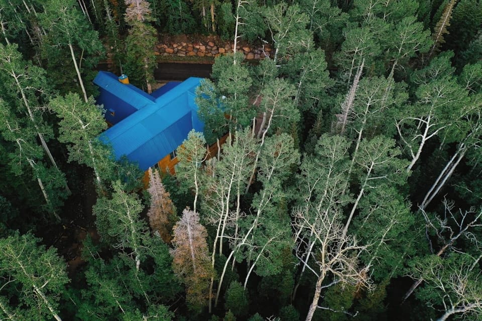 In the forest