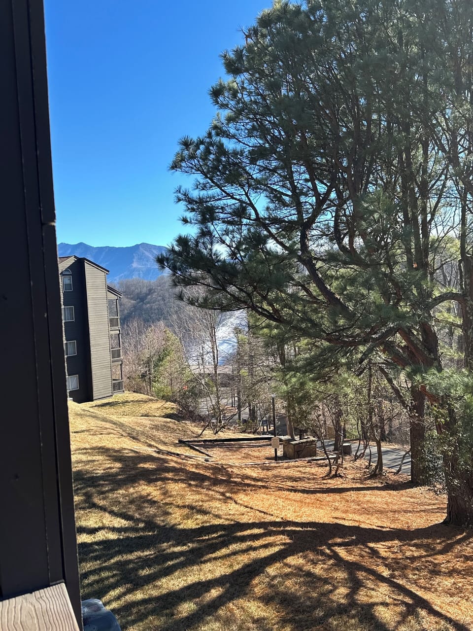 Views from the balcony