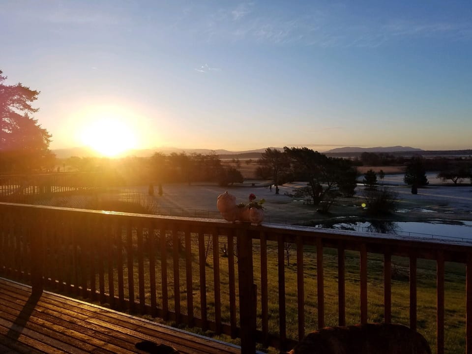 Sunrise
