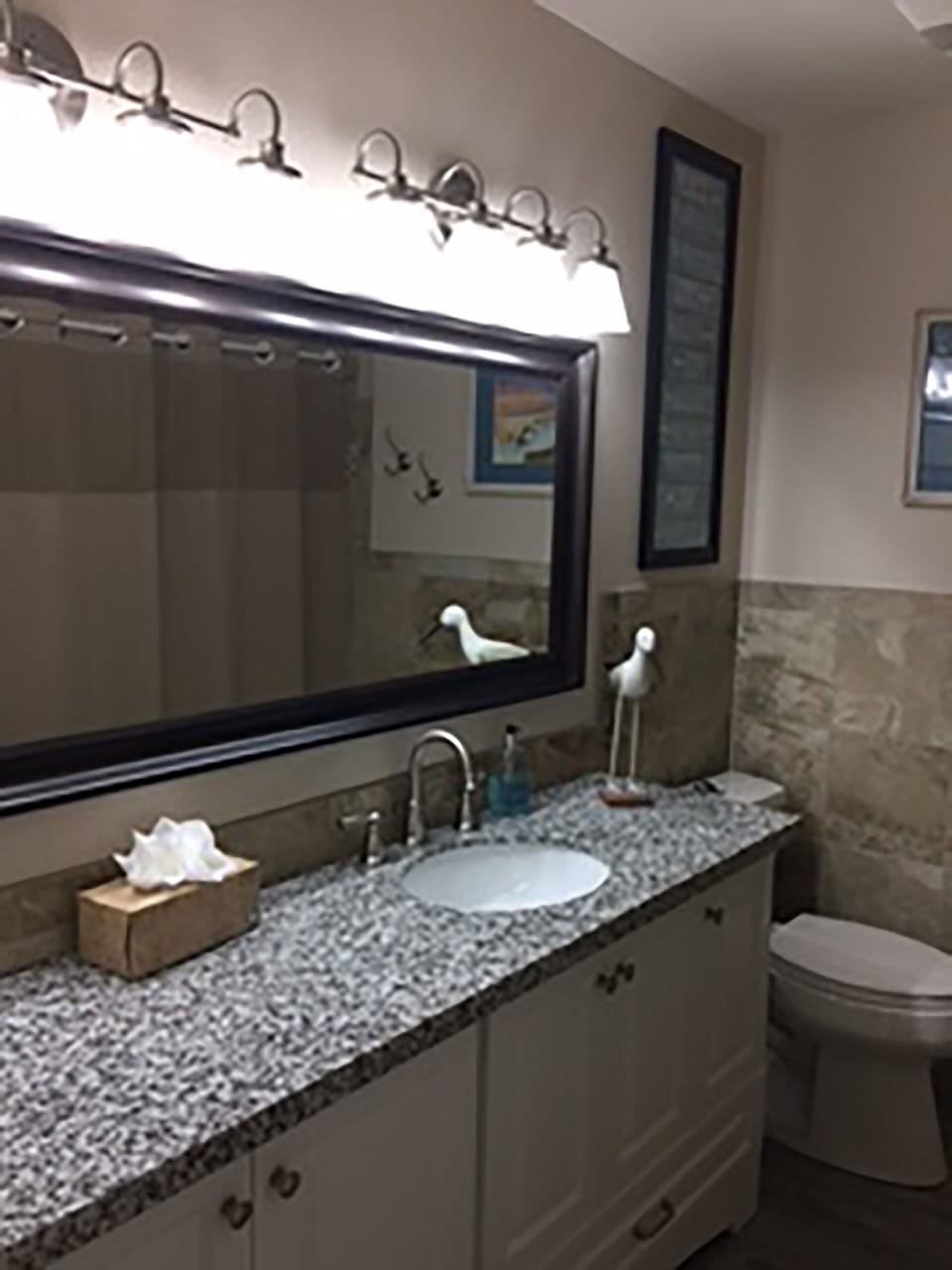 Guest bathroom