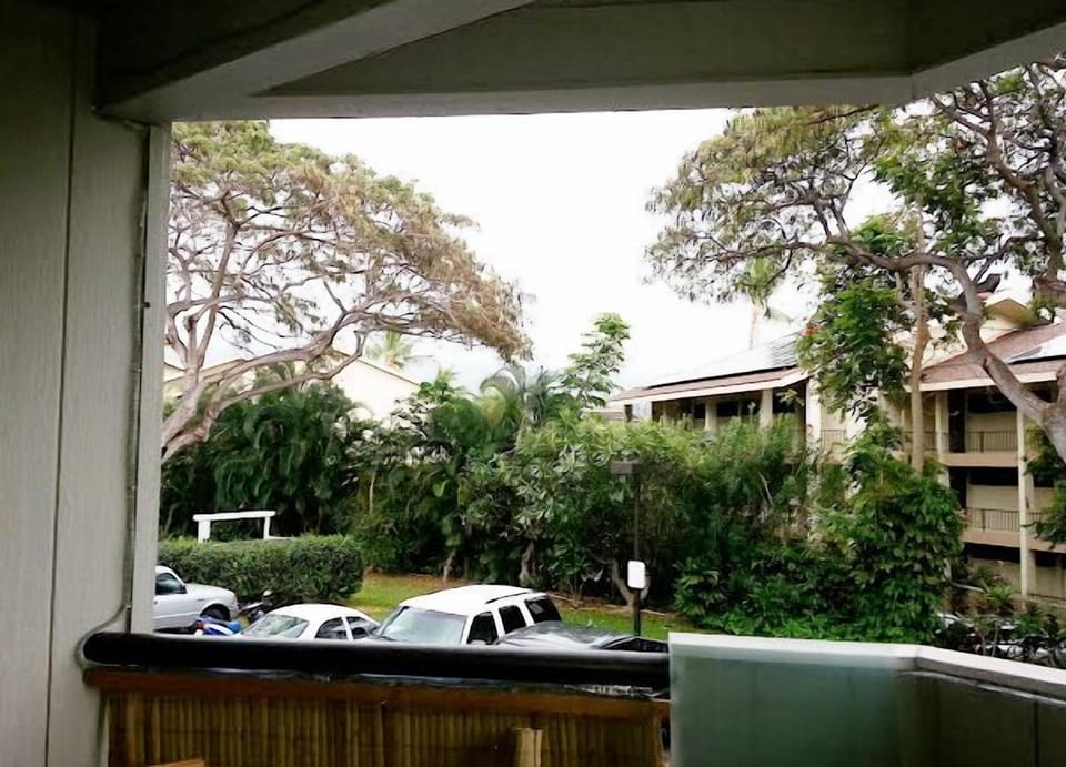 View East