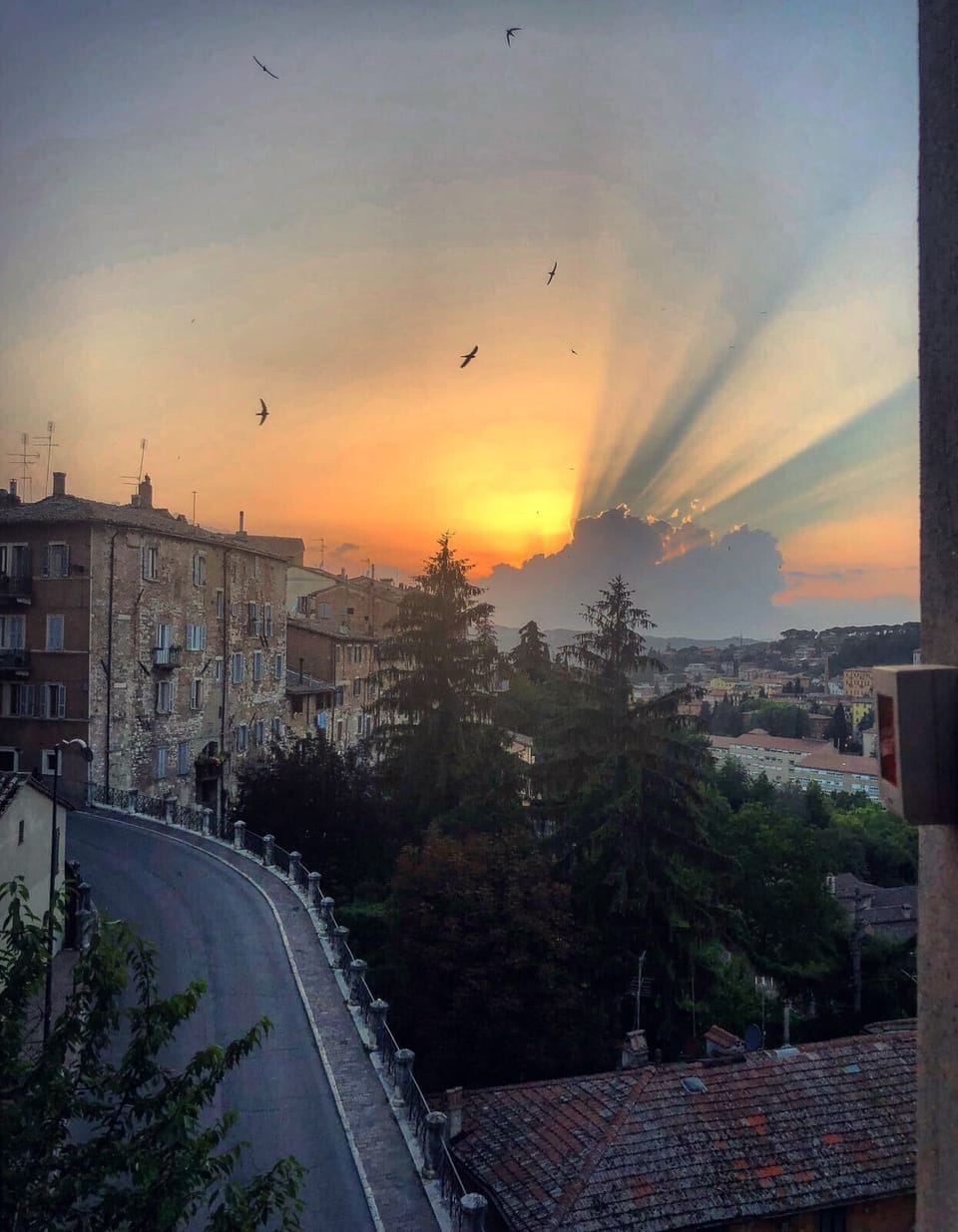 View from property