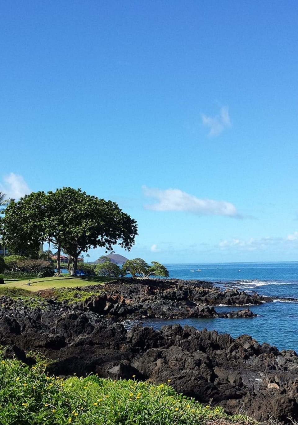 Stunning view along Beach Path