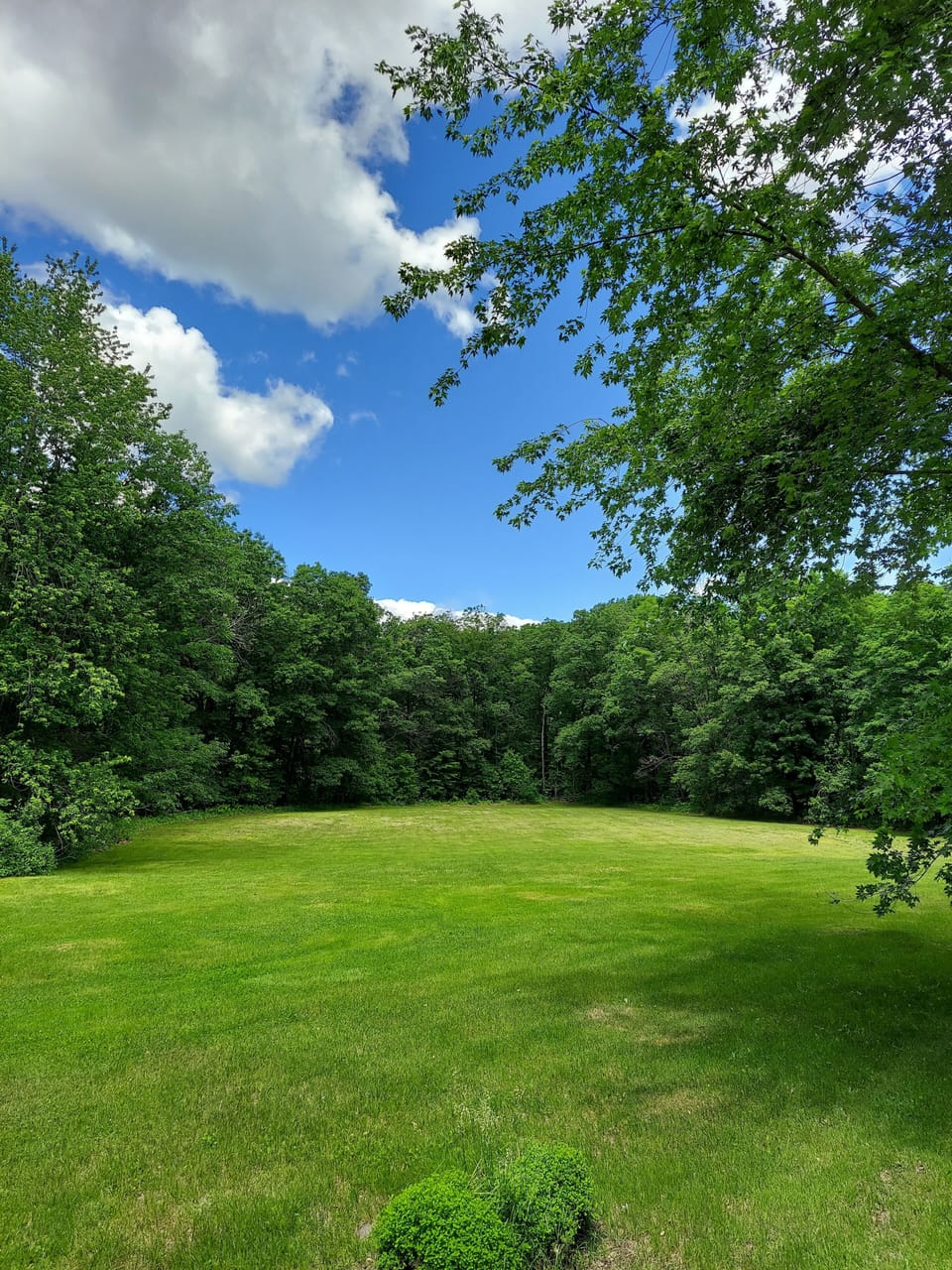 View of lawn and field from back deck

