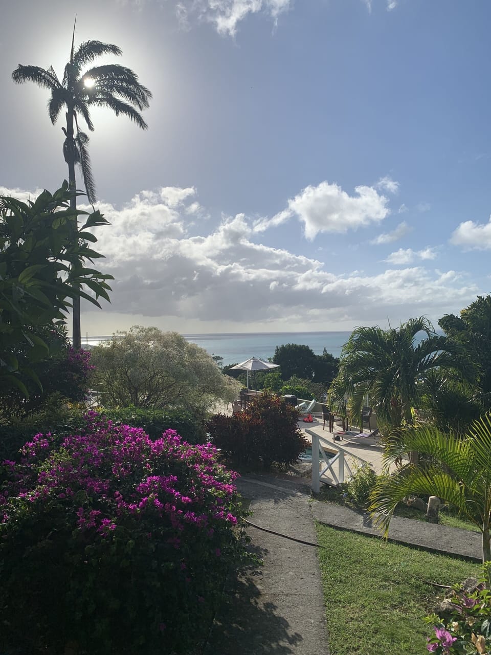 View of the garden