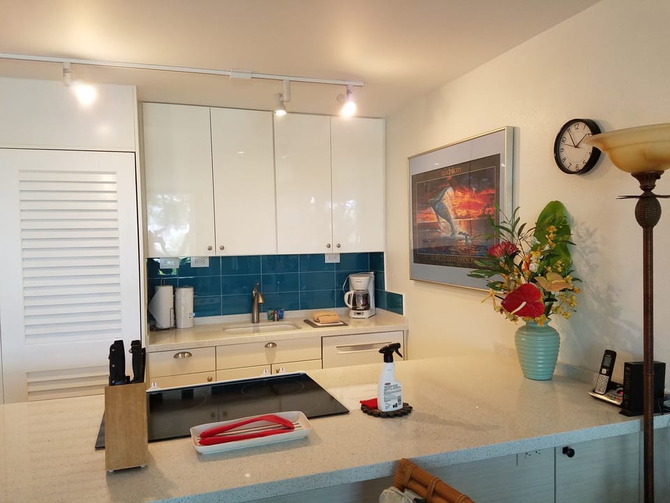 Beautiful remodeled kitchen with extra counter space for cooking