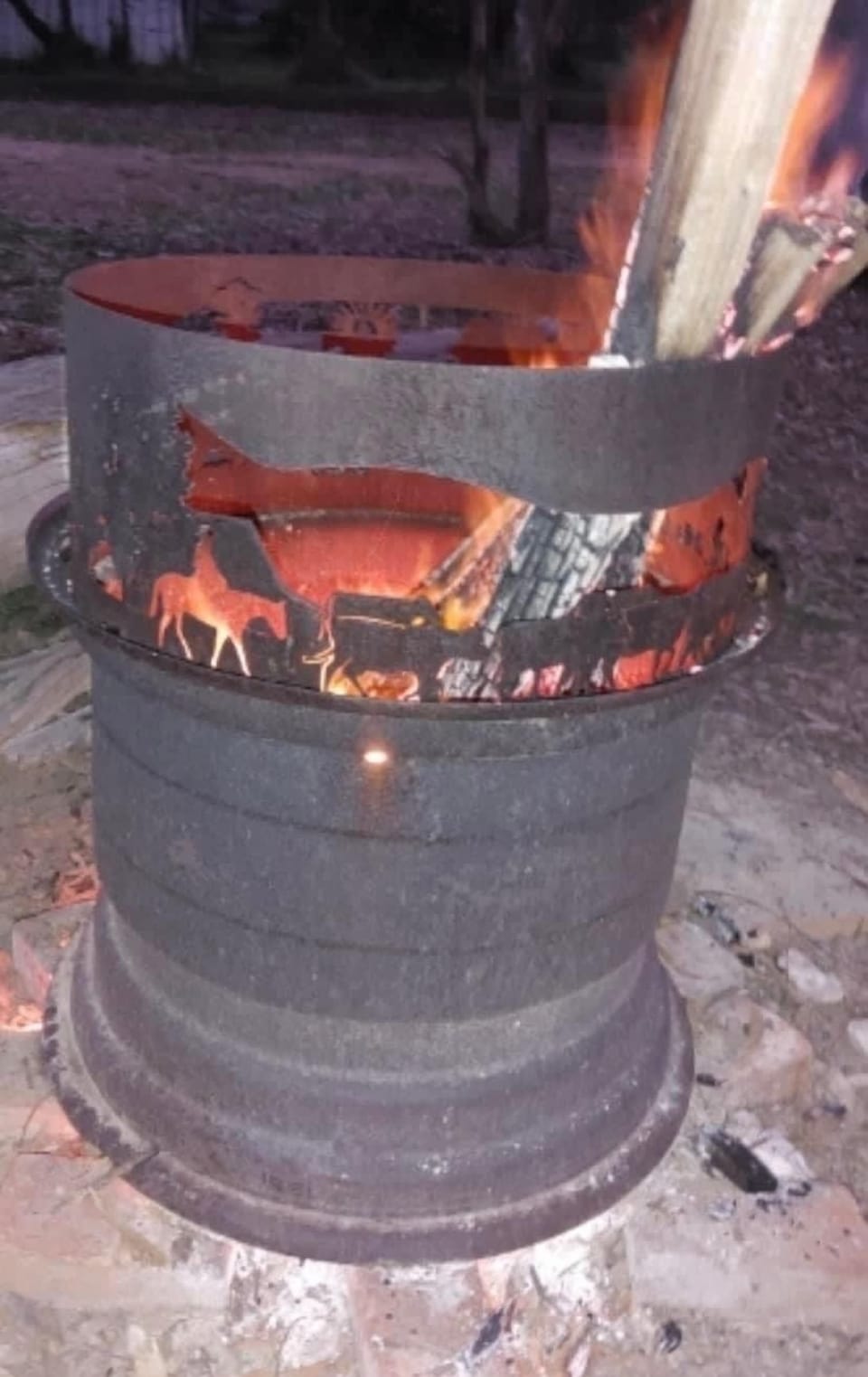 Toasty Fire Pit