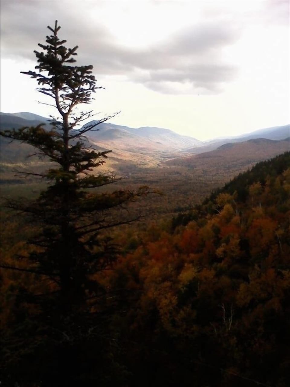 This vista called The Cathedral is a short hike fr