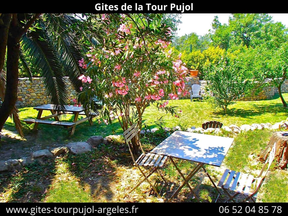 jardin 4