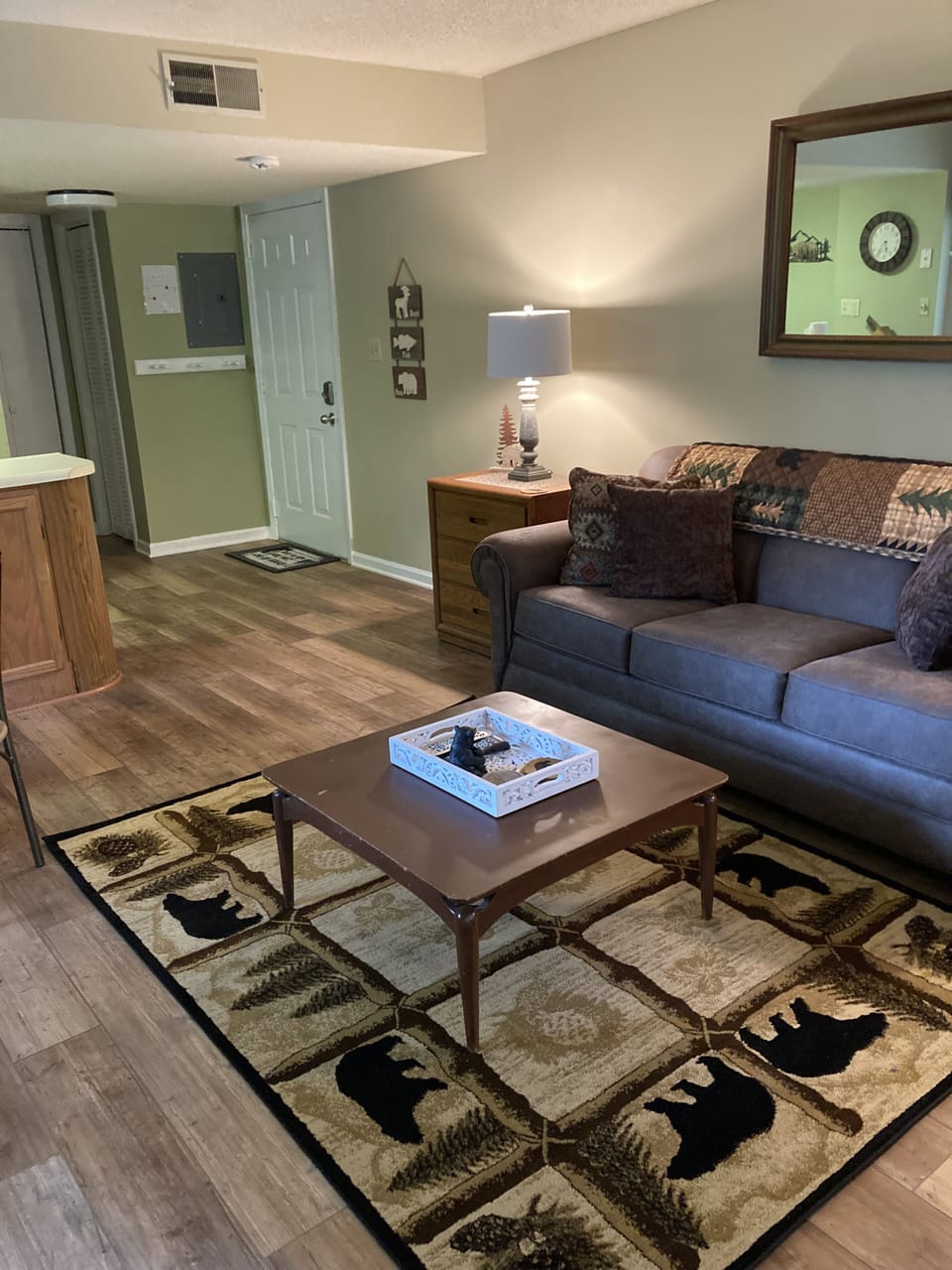 New Large Sleeper Sofa
