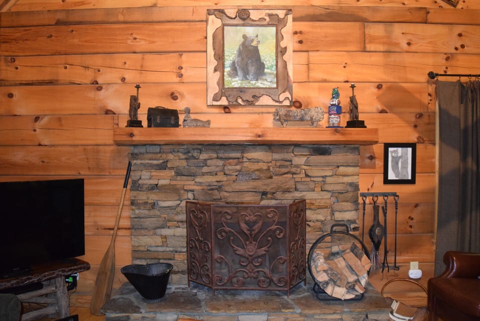 Wood burning fireplace