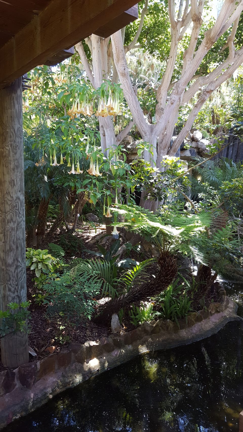 Lush tropical environment.