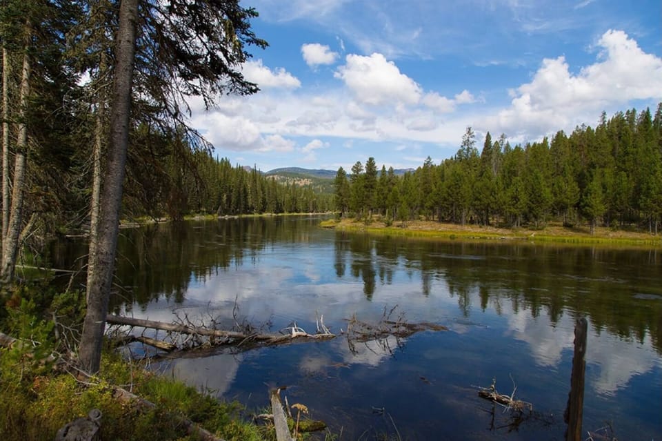 Nearby Henry's Fork in the Snake River has sparkling waters surrounded by beautiful, tall pines.