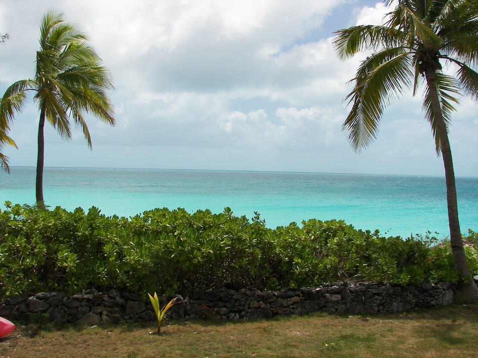 Backyard view