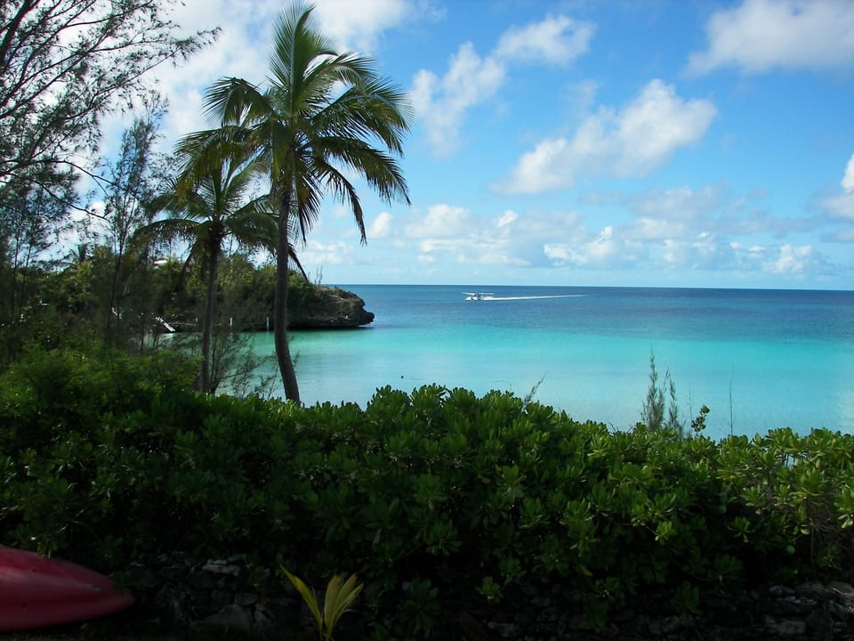 View from Patio