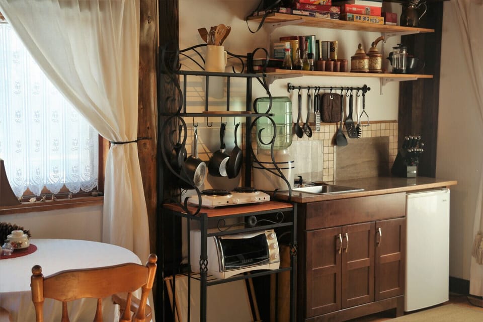 Large Toaster oven, microwave, and 2 burners with fridge. 