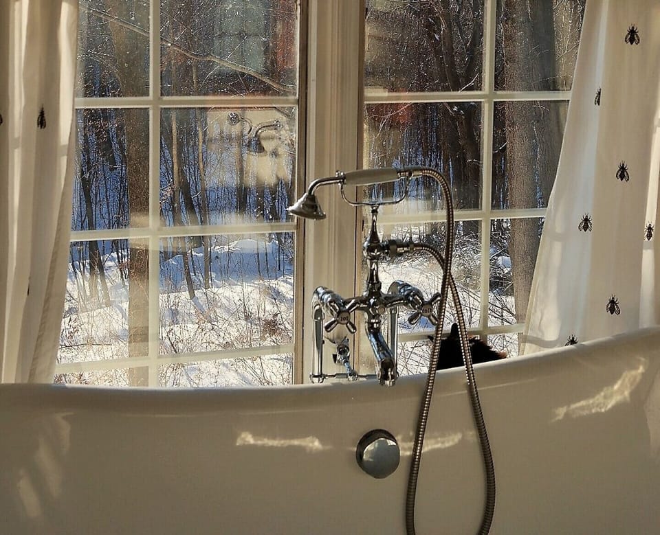 Guest bath with views to the ravine and brook below. Shower wand.