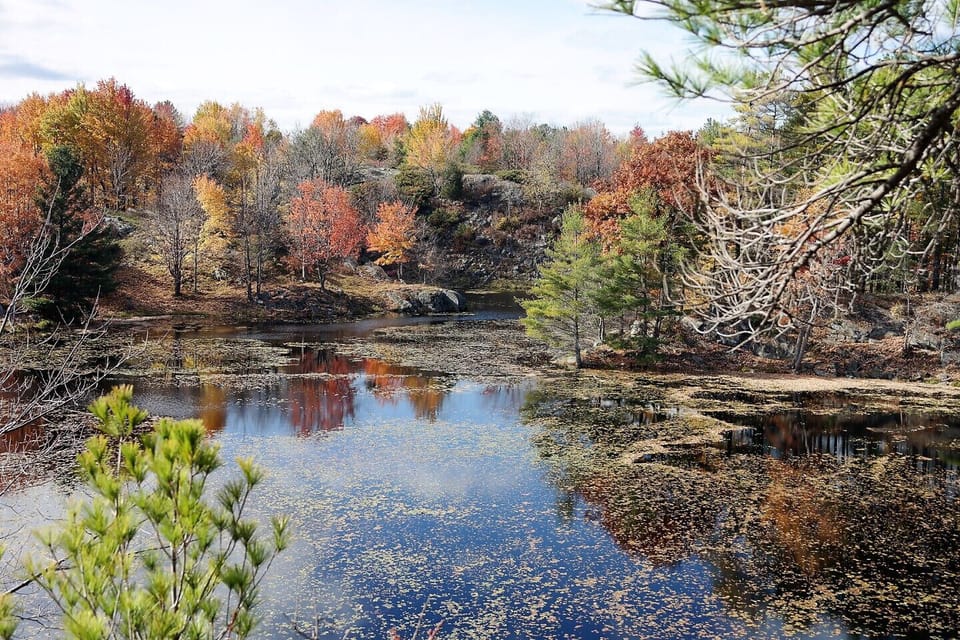 Many lakes close by to explore. Bring your kayak or canoe.