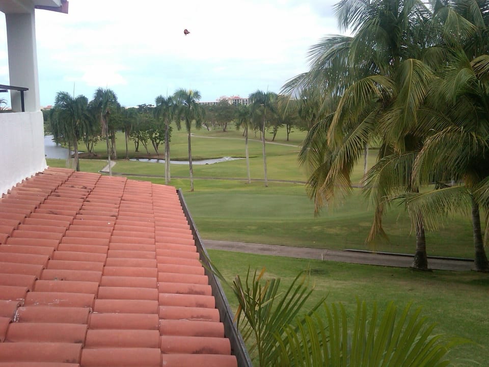 View from the balcony - The Golf Course