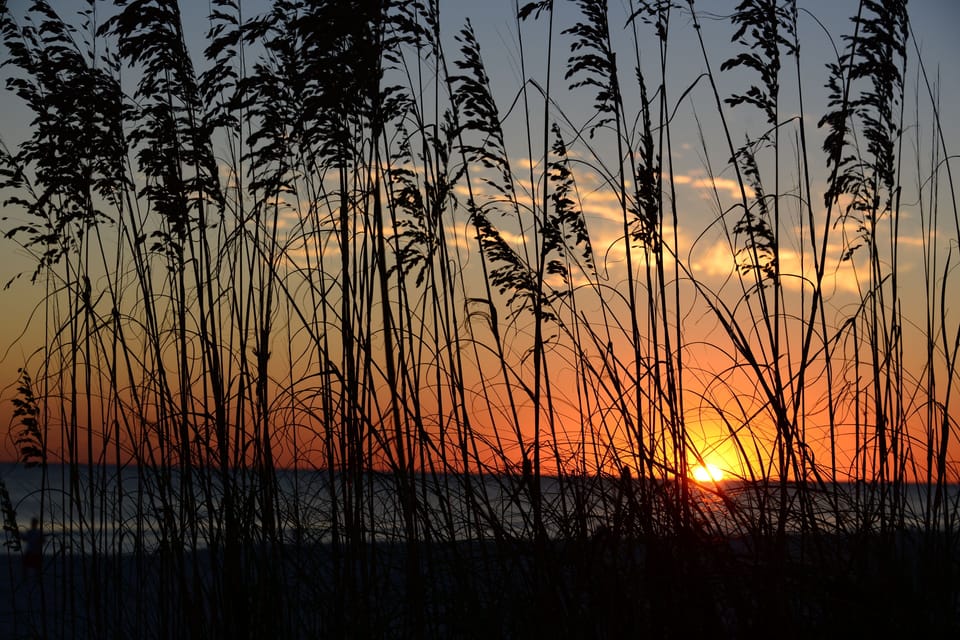 Sunsets and sea oats