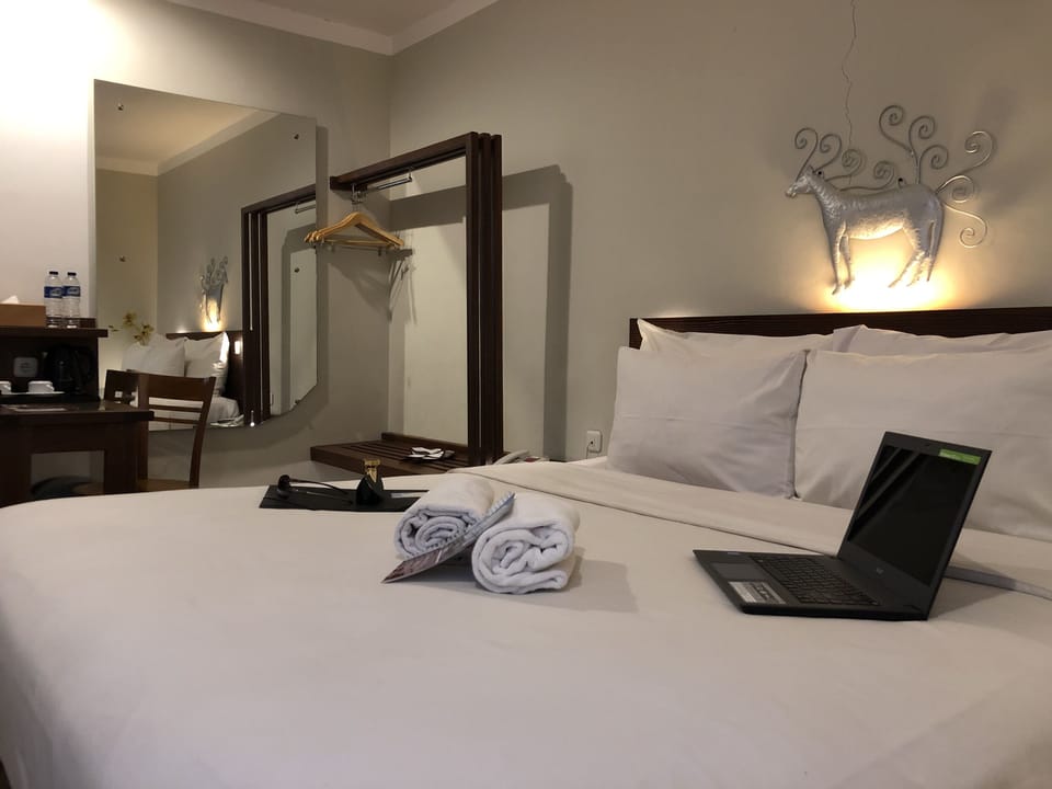 Deluxe Double Room | In-room safe, desk, blackout drapes, WiFi (free)