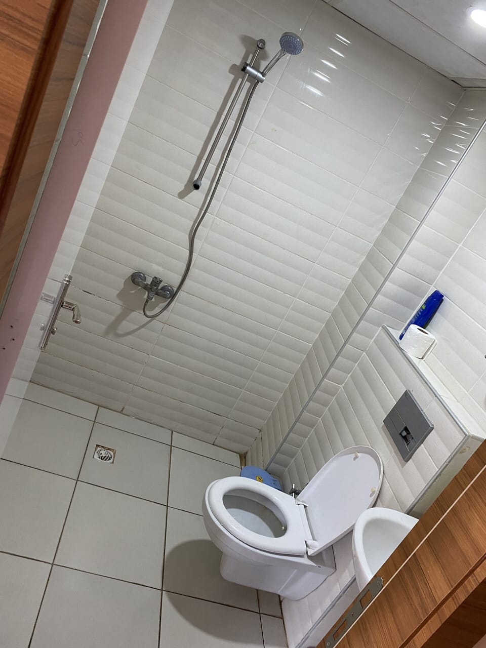 Family Triple Room | Bathroom | Shower, hydromassage showerhead, free toiletries, hair dryer