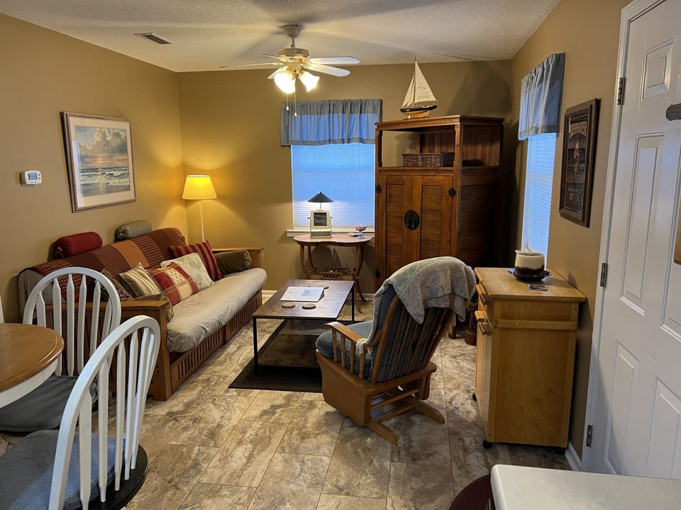 Comfortable living room with futon and TV